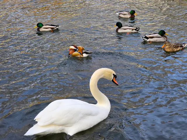 Foto: Heidrun Rosenberger