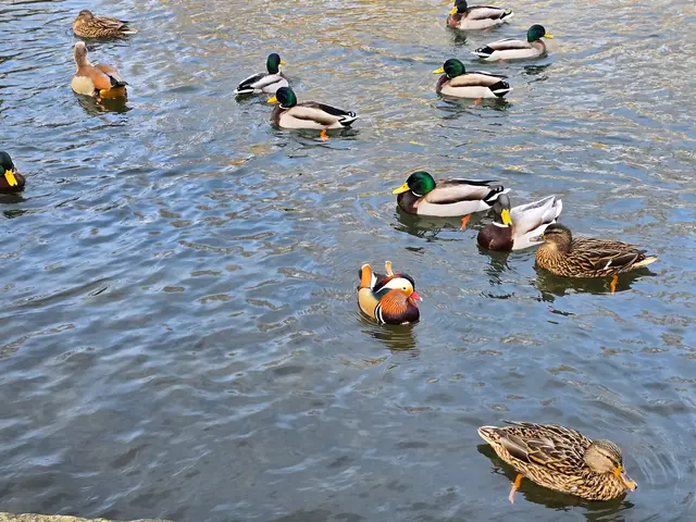 Foto: Heidrun Rosenberger