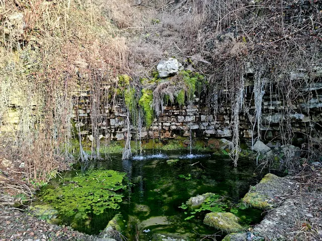 so ein schöner Platz | Foto: Ralf Röser