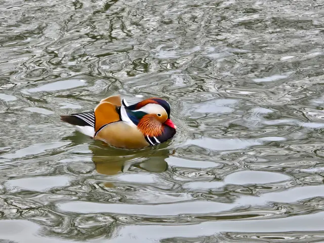 Foto: Heidrun Rosenberger