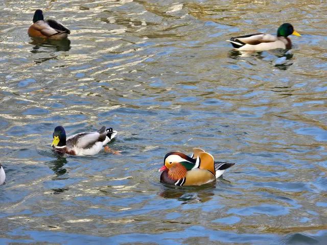 Foto: Heidrun Rosenberger