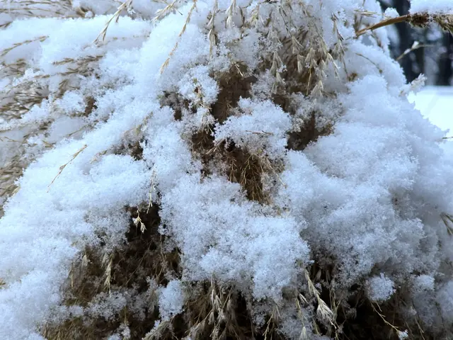 Foto: Heidrun Rosenberger