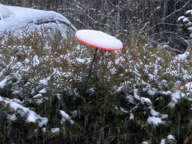 Foto: Heidrun Rosenberger