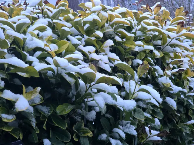 Foto: Heidrun Rosenberger