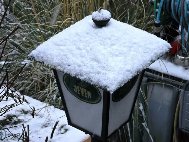 Foto: Heidrun Rosenberger