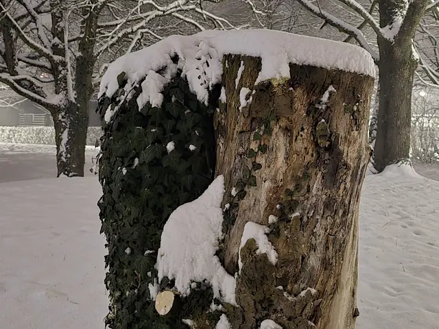 Foto: Heidrun Rosenberger