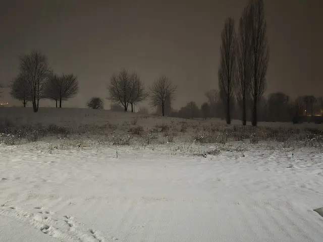 Foto: Heidrun Rosenberger