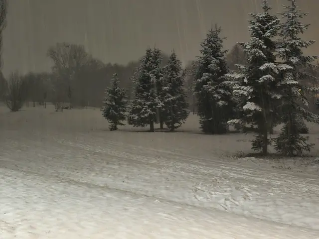 Foto: Heidrun Rosenberger