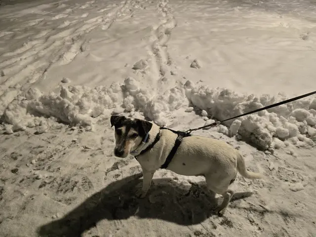 Foto: Heidrun Rosenberger