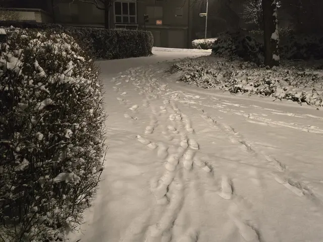 Foto: Heidrun Rosenberger