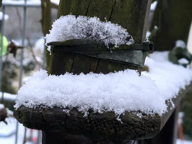 Foto: Heidrun Rosenberger