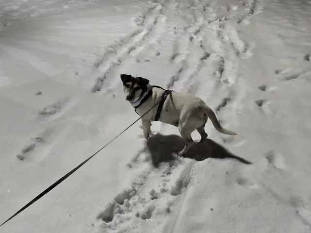 Foto: Heidrun Rosenberger