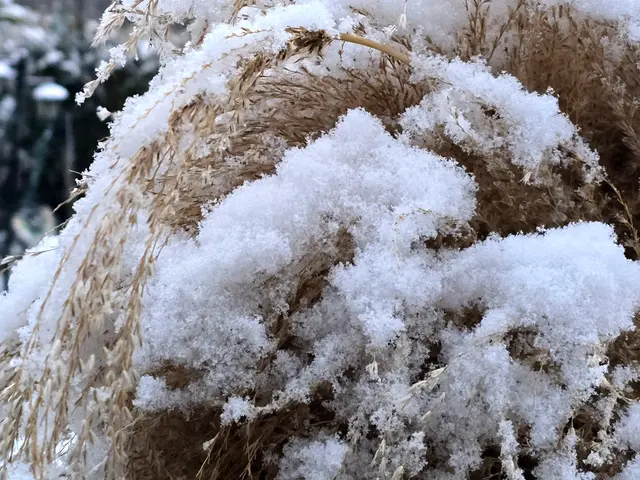 Foto: Heidrun Rosenberger