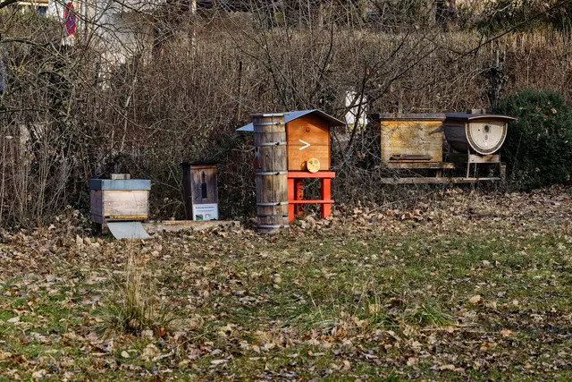 Winterruhe | Foto: WKY