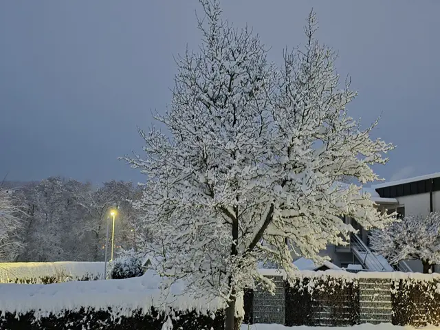 Foto: Heidrun Rosenberger