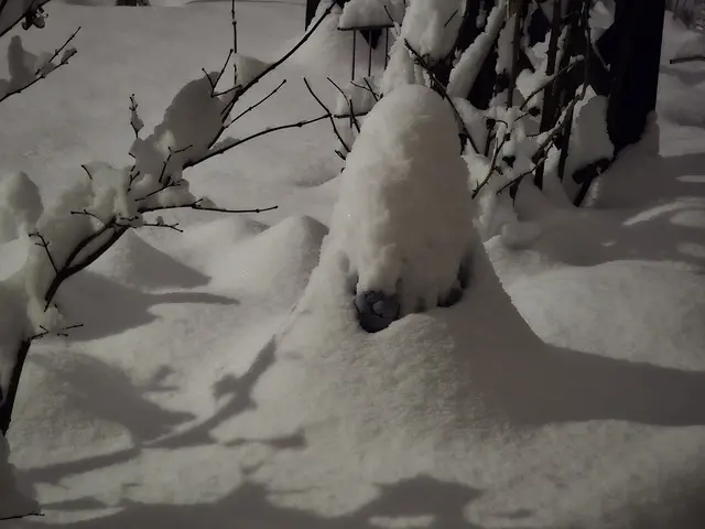 Foto: Heidrun Rosenberger