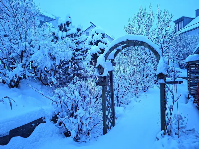 30cm Neuschnee | Foto: Ralf Röser