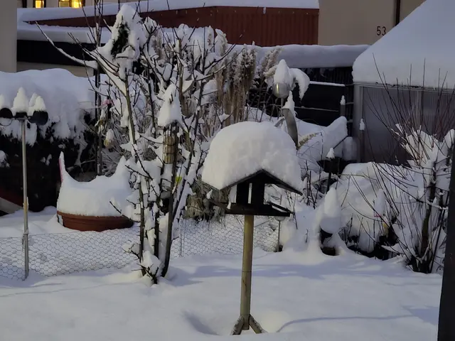 Foto: Heidrun Rosenberger