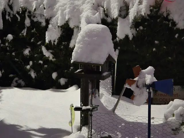 Foto: Heidrun Rosenberger