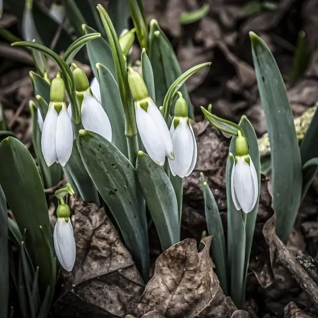 25. Januar 2026 | Foto: ehw