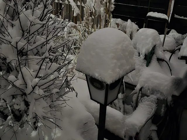 Foto: Heidrun Rosenberger