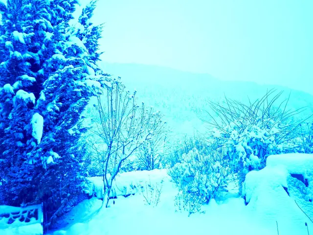 30cm Neuschnee | Foto: Ralf Röser