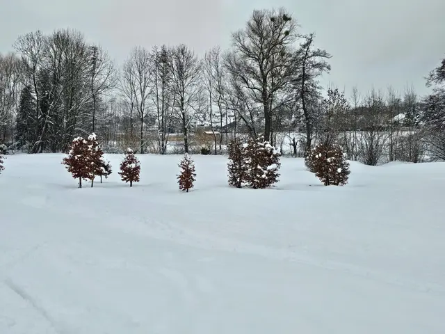 Foto: Heidrun Rosenberger