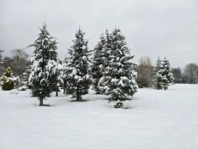 Foto: Heidrun Rosenberger