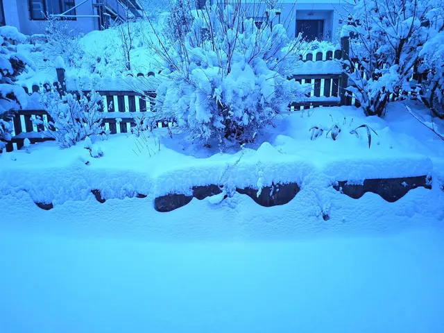 30cm Neuschnee | Foto: Ralf Röser