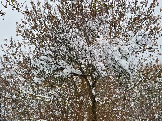 Foto: Heidrun Rosenberger