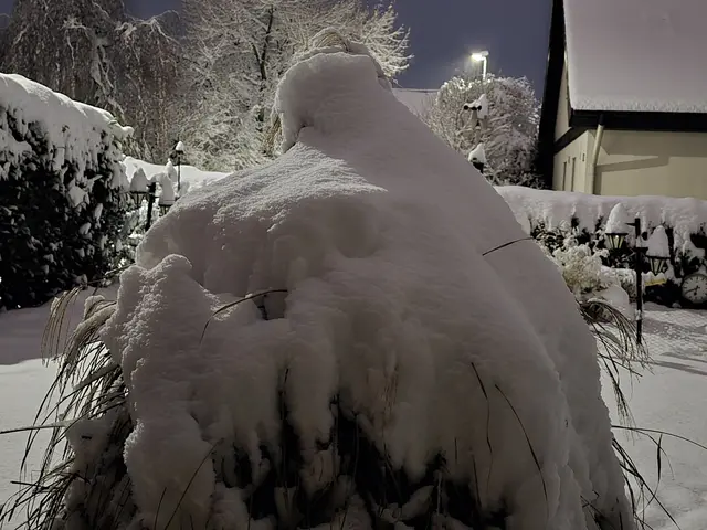 Foto: Heidrun Rosenberger