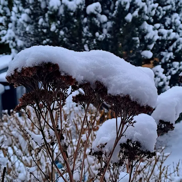 Foto: Eduard Warenik