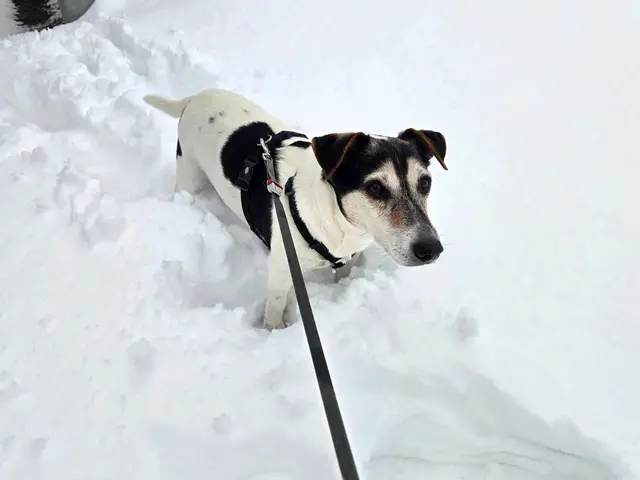 Foto: Heidrun Rosenberger