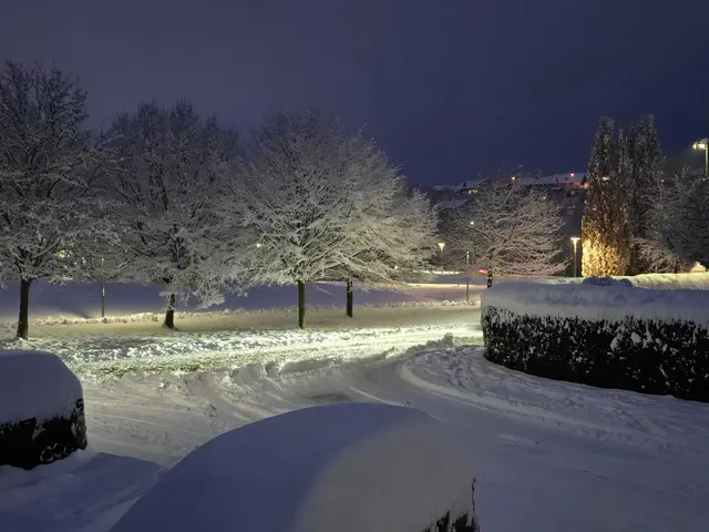 Foto: Heidrun Rosenberger