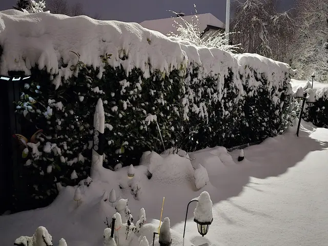 Foto: Heidrun Rosenberger