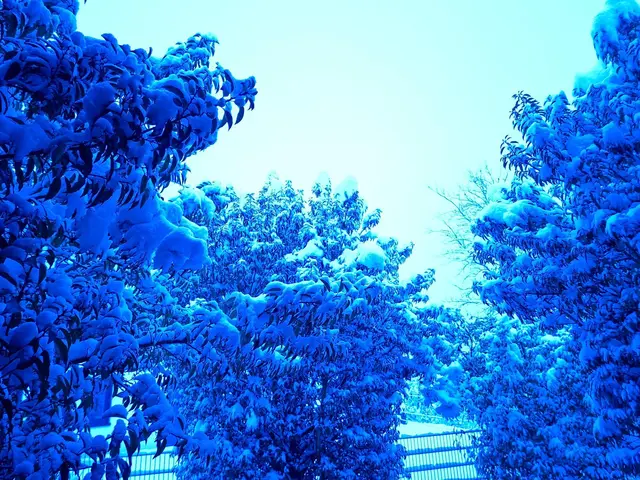 30cm Neuschnee | Foto: Ralf Röser