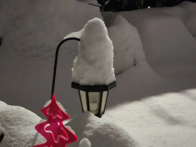 Foto: Heidrun Rosenberger