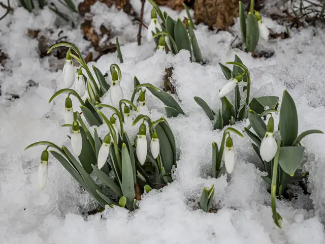 26. Januar 2026 | Foto: ehw