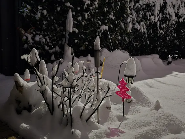 Foto: Heidrun Rosenberger