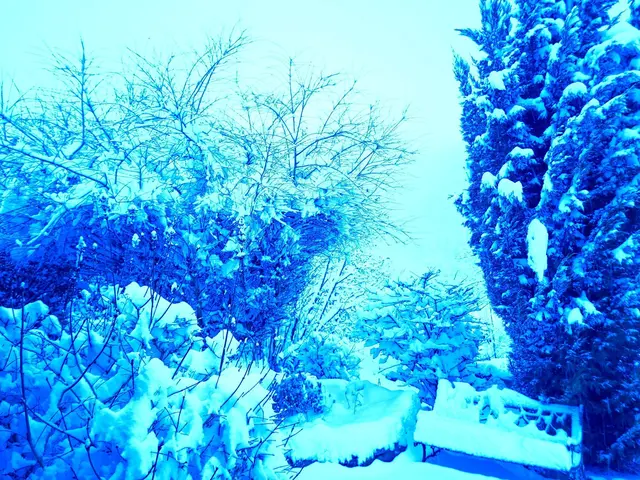 30cm Neuschnee | Foto: Ralf Röser