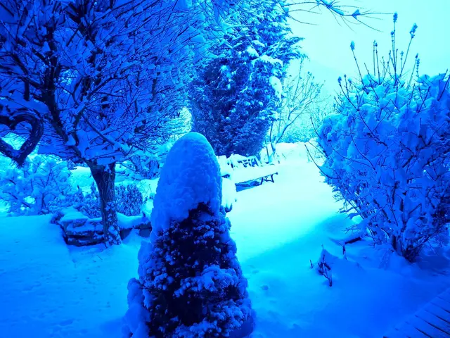 30cm Neuschnee | Foto: Ralf Röser