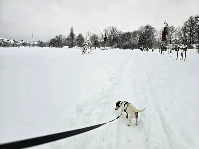 Foto: Heidrun Rosenberger