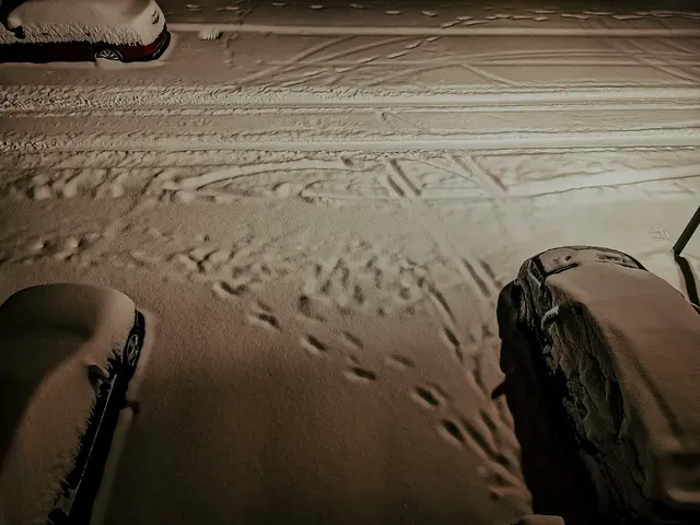 Foto: Fotograf: Marvin Scheuring