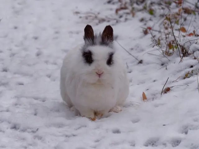 Foto: Eigenes Bild TB