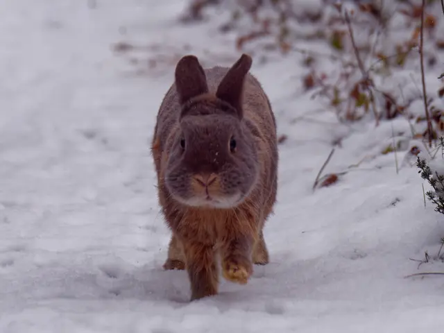 Foto: Eigenes Bild TB