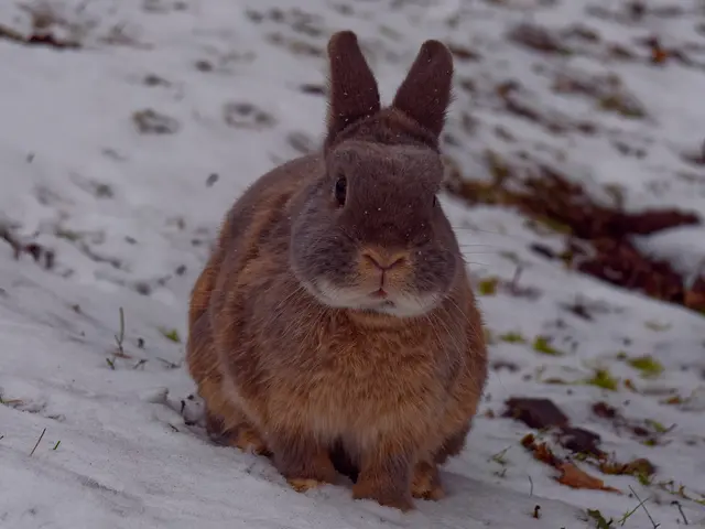 Foto: Eigenes Bild TB