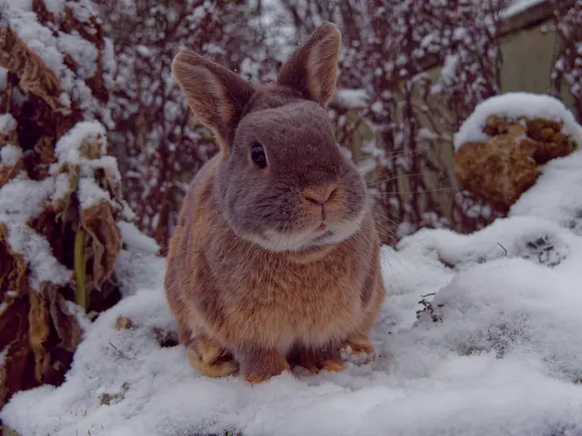 Foto: Eigenes Bild TB