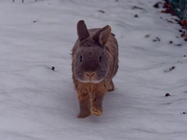 Foto: Eigenes Bild TB