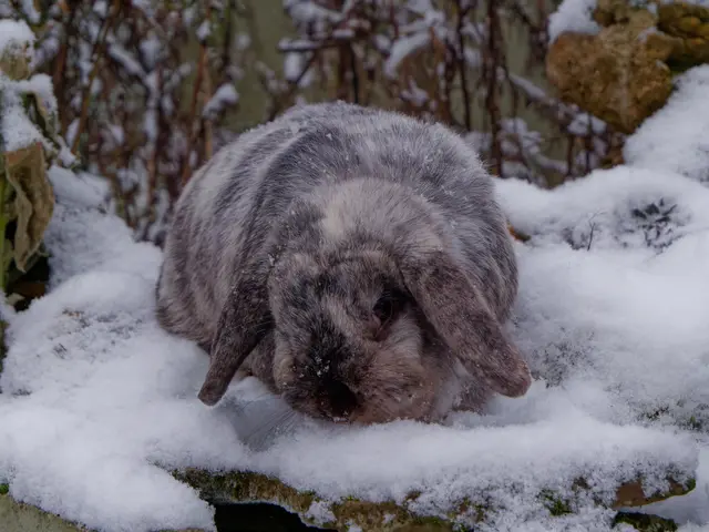 Foto: Eigenes Bild TB