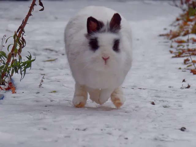 Foto: Eigenes Bild TB